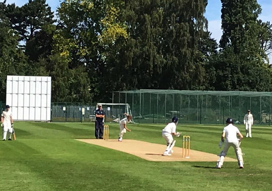 A year's supply of fertiliser