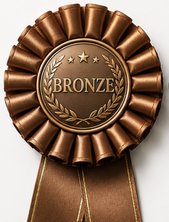 Bronze Sponsor