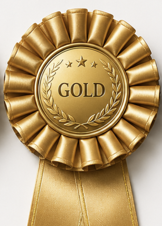 Gold Sponsor / Club Partner