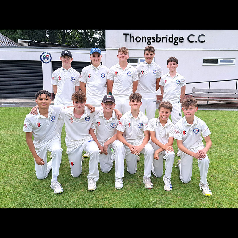 Senior Shirt Sponsor