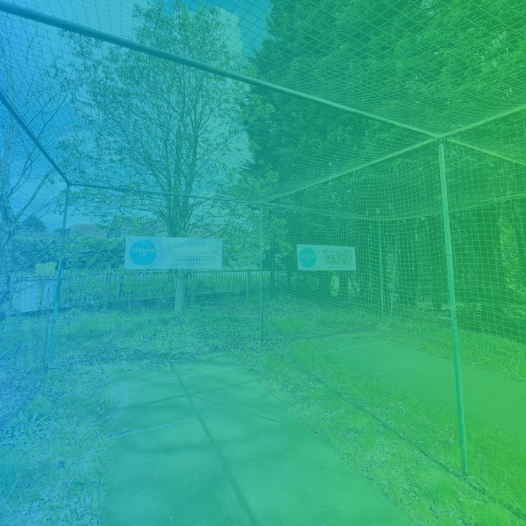 Practice Nets Advertising