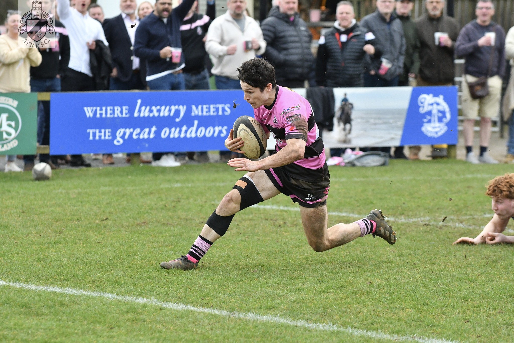 Sponsorship Boards (renewal)