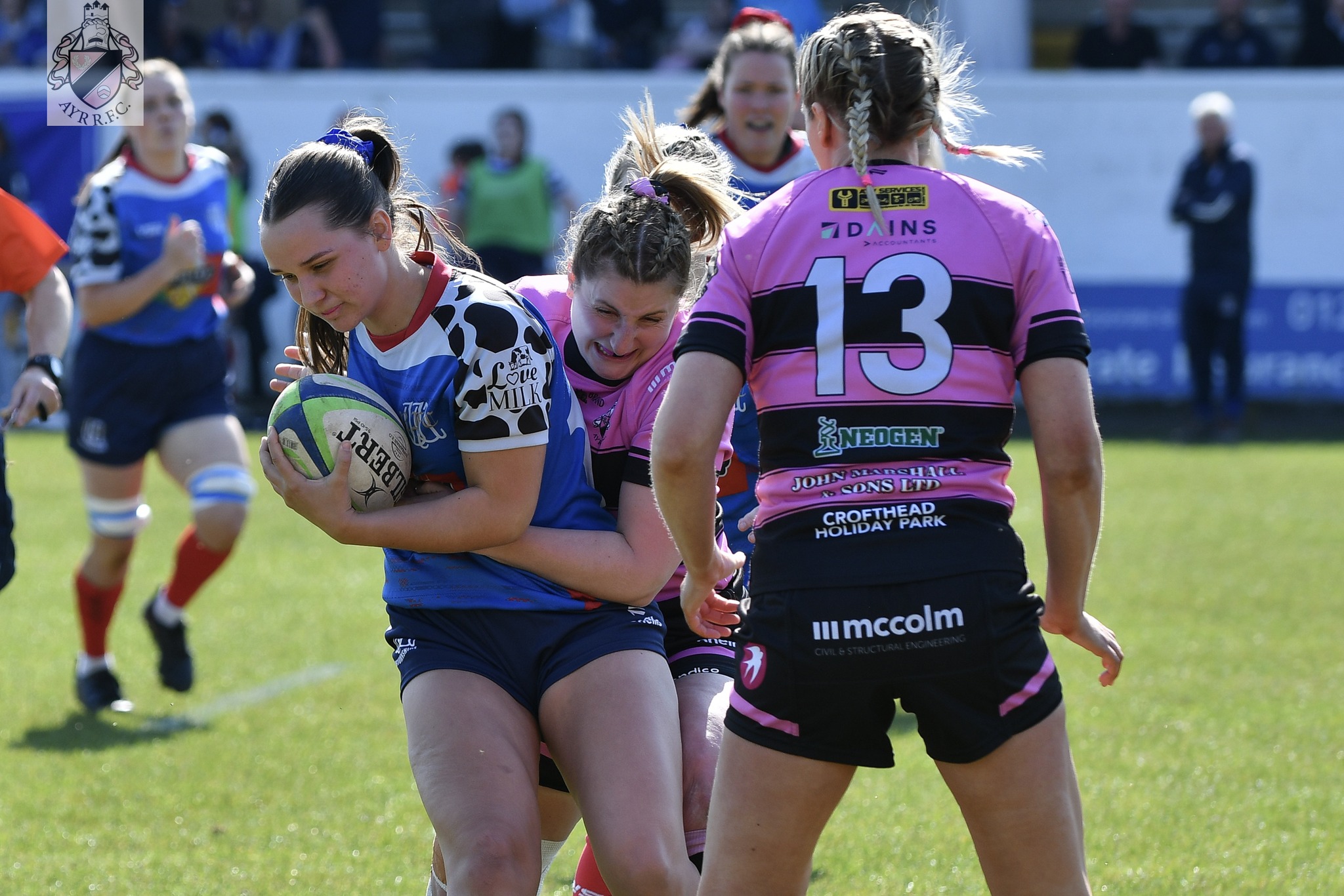 Branding on Senior female strips (reverse)