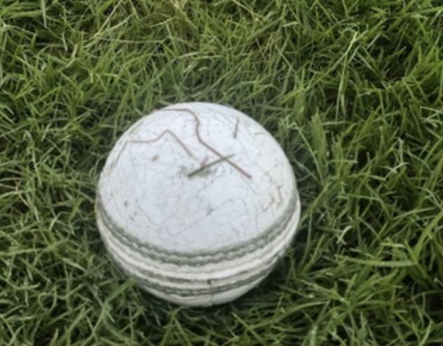Match Ball - Men's 1st Team - Rigg Bash T20 Cup Game - Game 5