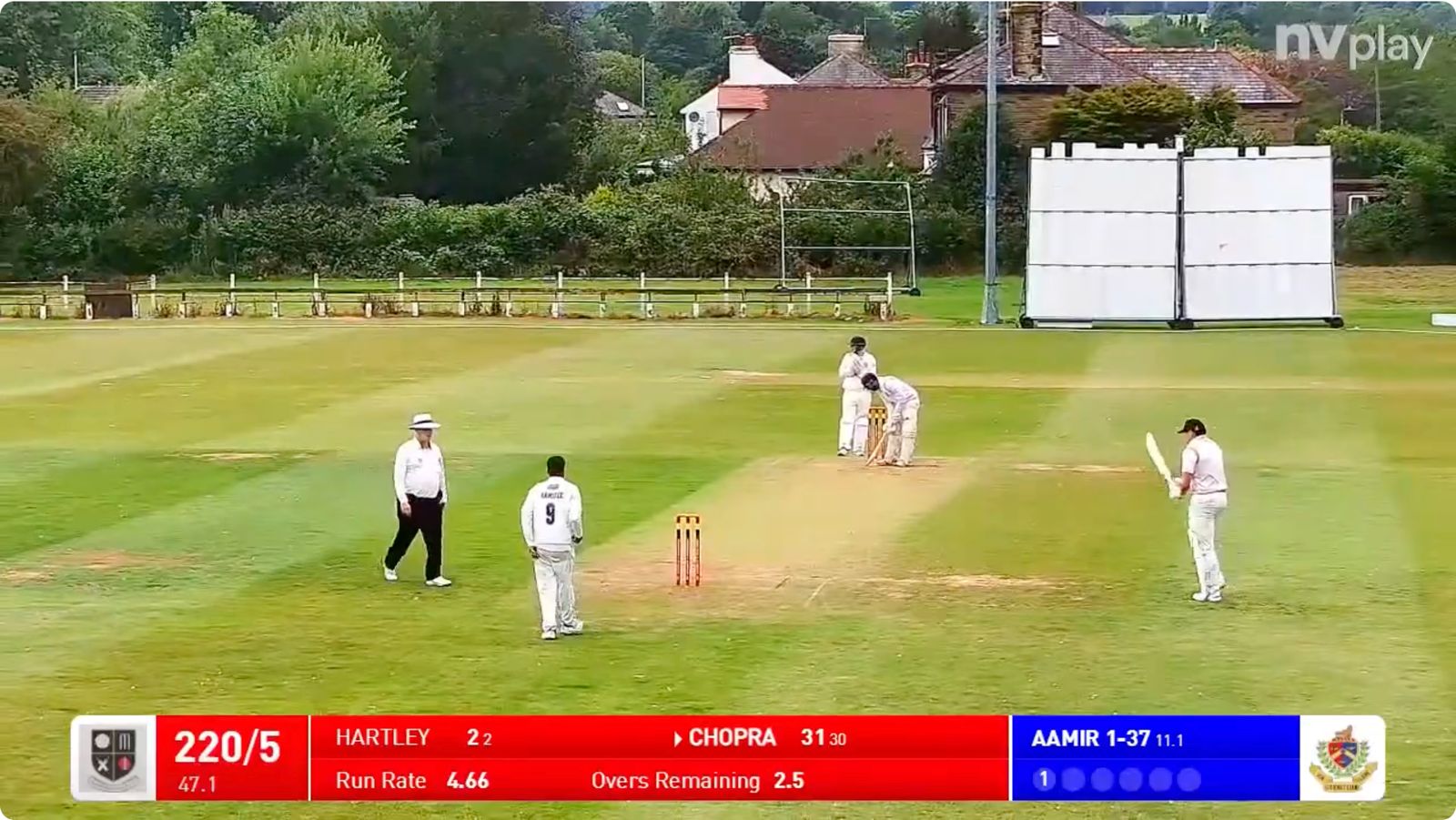 Board Behind the Wicket - One Size 8FT x 2FT