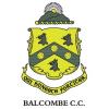 Balcombe Cricket Club