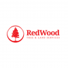 Redwood Trees