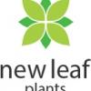 Newleaf Plants