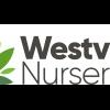 Westview Nurseries